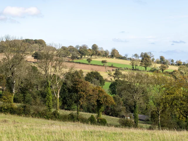 Bocage