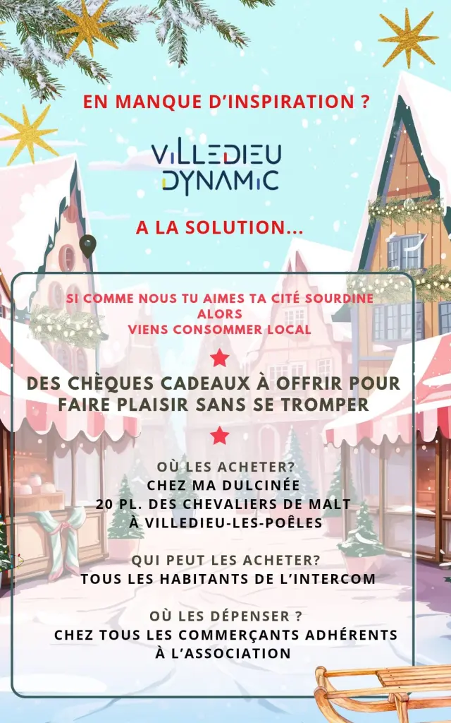 Visuel Cheque Kdo Villedieu Dynamik