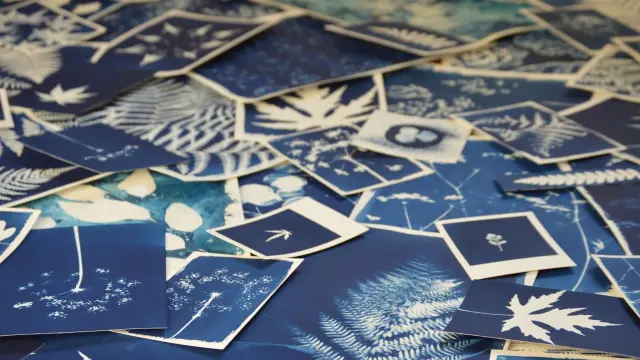 Cyanotype Lhortesienne