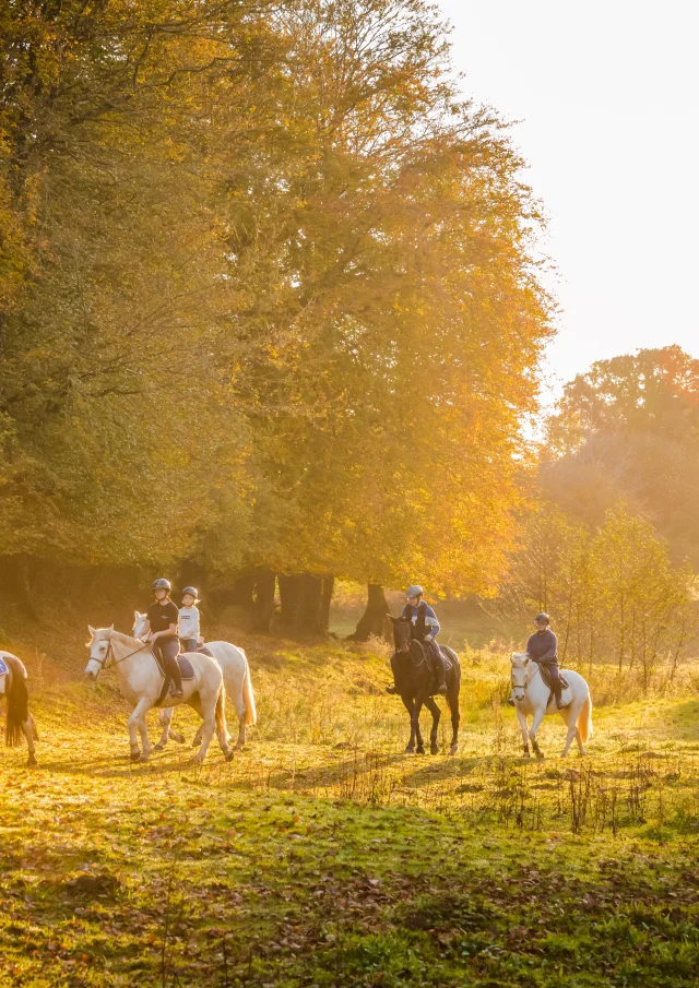 Rando Cheval 03 Anibas Photography