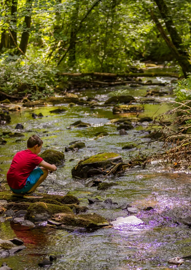 Saint Pois Glanon 01 Anibas Photography