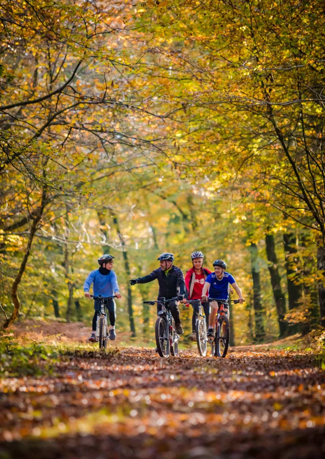 Velo Automne 02 Anibas Photography