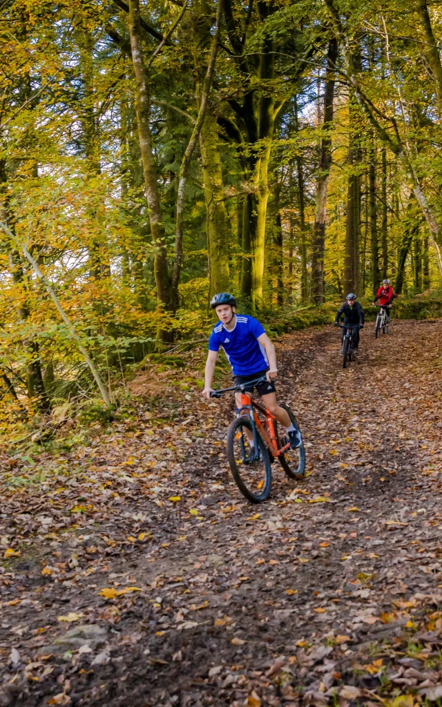 Velo Automne 08 Anibas Photography