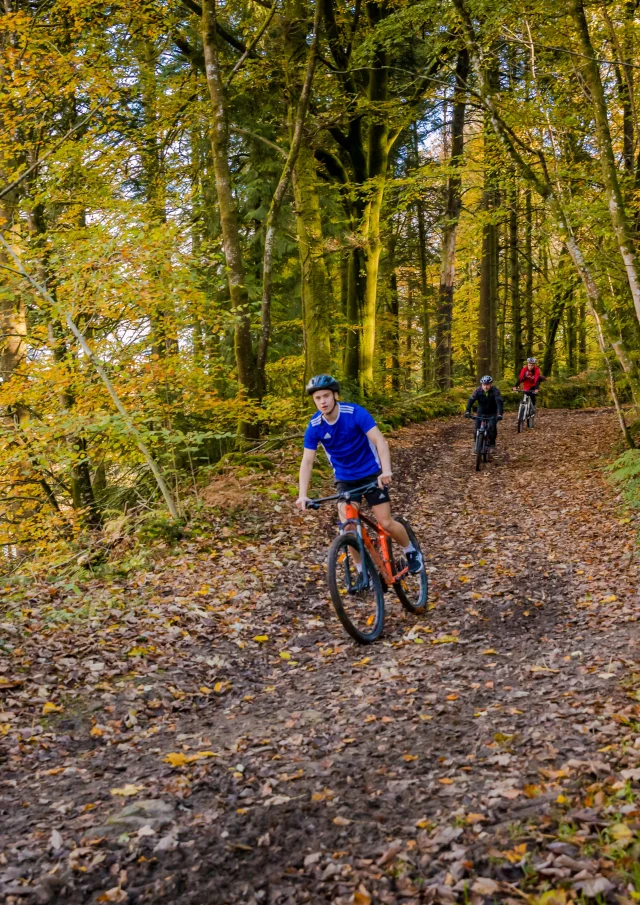 Velo Automne 08 Anibas Photography