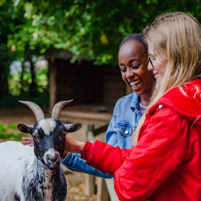 Dierentuin Champrepus Boerderij 02 Anibas Fotografie