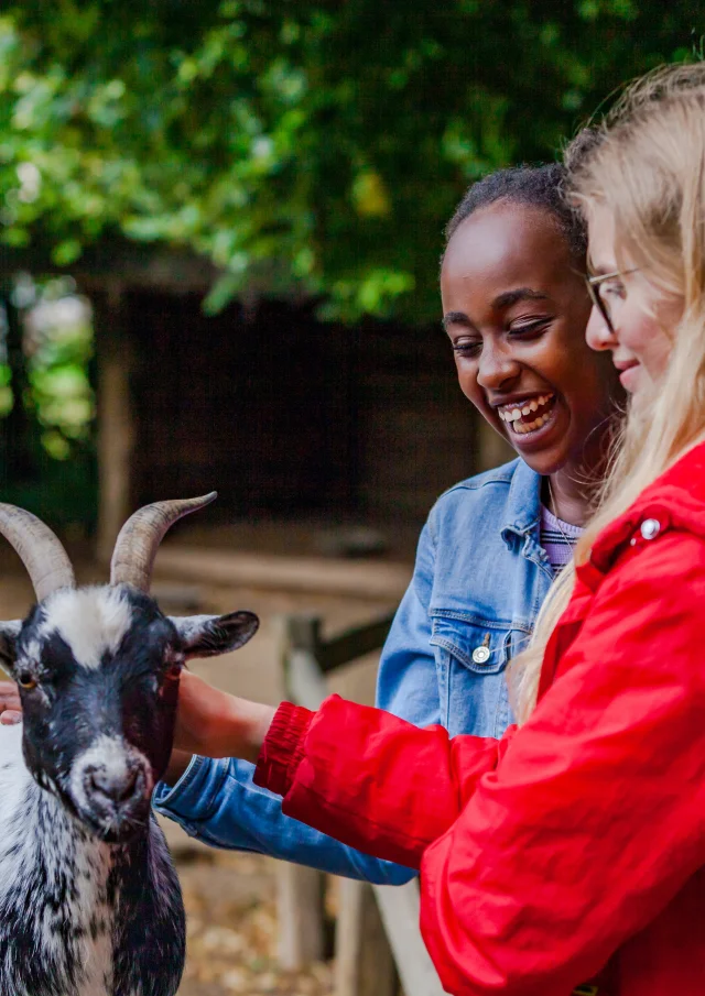 Zoo De Champrepus Ferme 02 Anibas Photography
