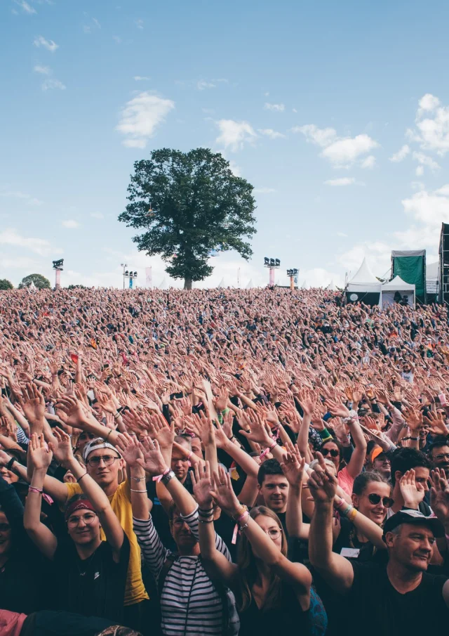 337118961 3551671355053386 6046982923132331863 N