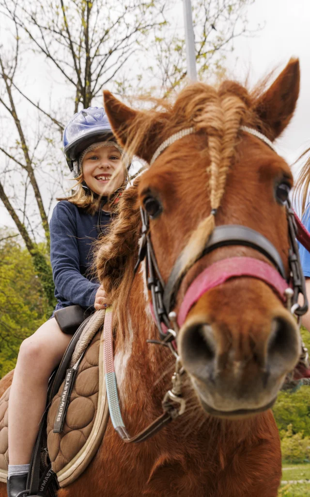 Poney 26