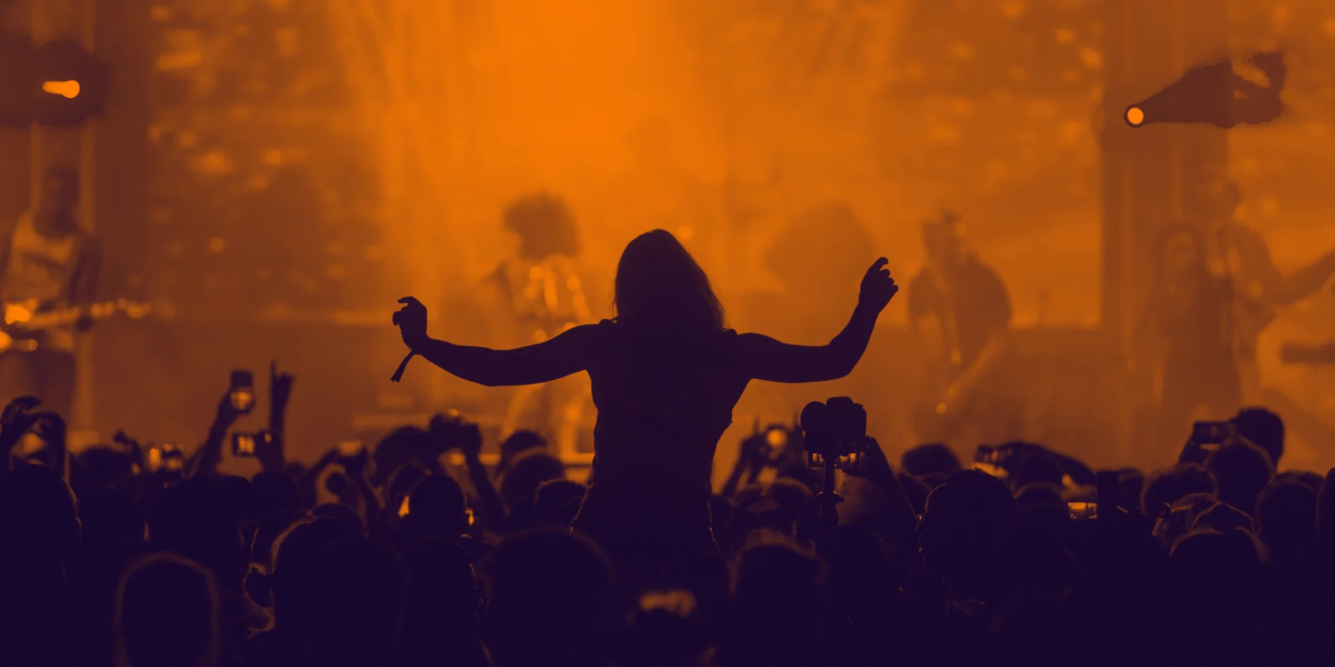 Concert 3084876