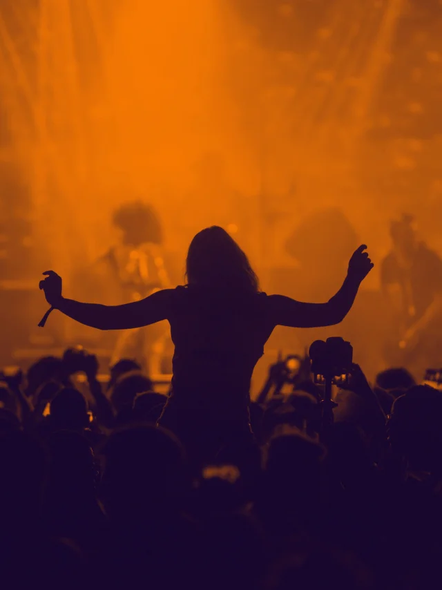 Concert 3084876