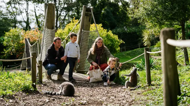 Famille avec deux garçons, accroupis près des lémuriens au Zoo de Champrépus