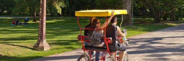 Rosalie among friends