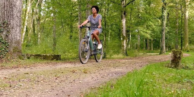 Vae Forêt Parc