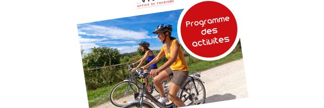 Program Activities