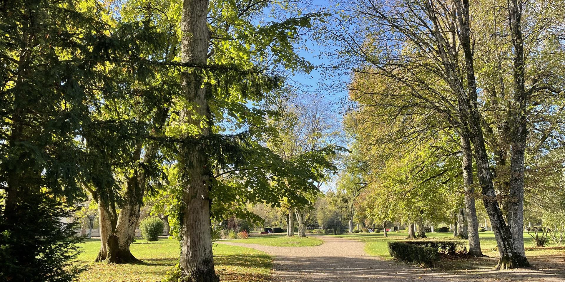 Autumn Park