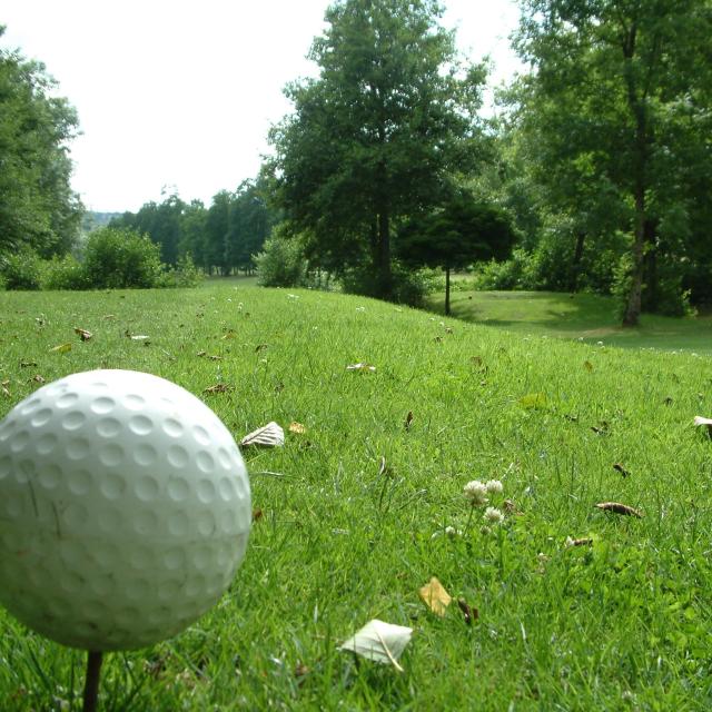 Golf15 Videoscope Vittellois