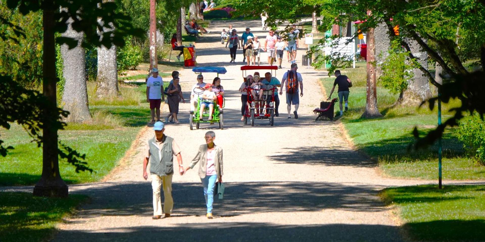 Allee Parc De Vittel