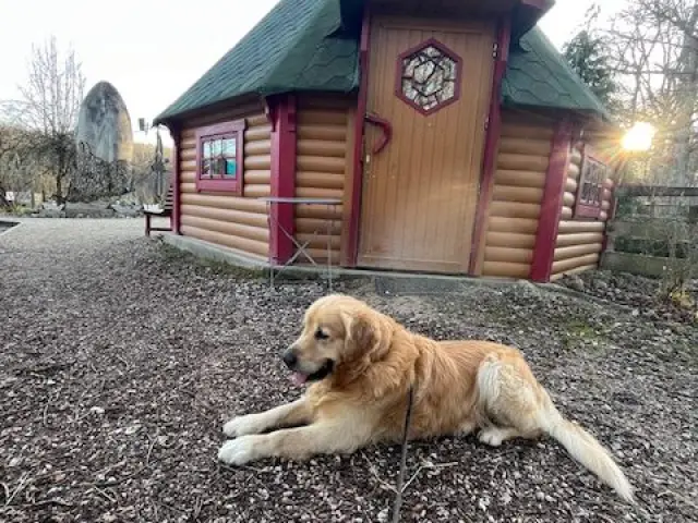 Niska Vitteltanature Rotated