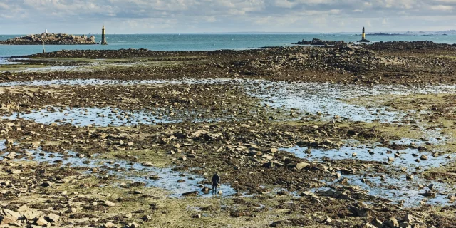 Roscoff, Peche à pied, vers l'estacade