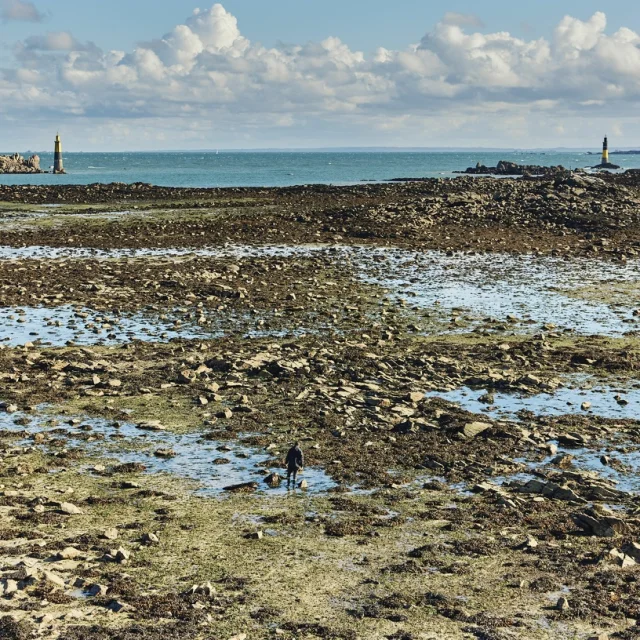 Roscoff, Peche à pied, vers l'estacade