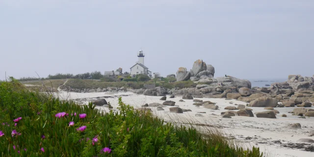 Phare De Pontusval Fleur1