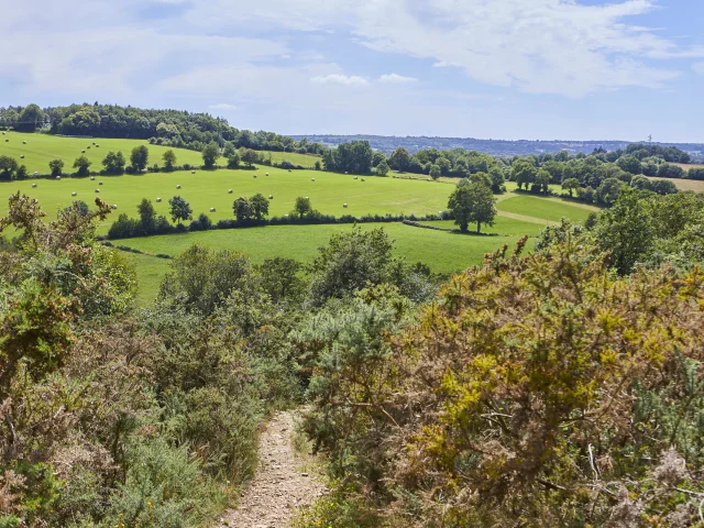 Chemin Landes Labosse