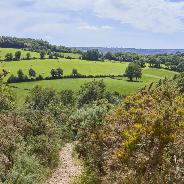 Chemin Landes Labosse