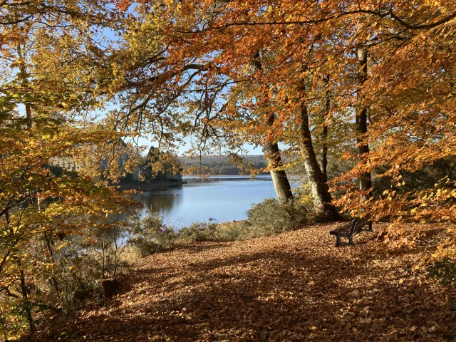 Paimpont @ Aurelie Poilvet Ot De Broceliande