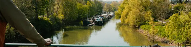 île de Migneaux à Poissy